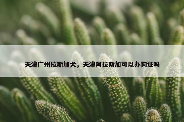 天津广州拉斯加犬,天津阿拉斯加可以办狗证吗
