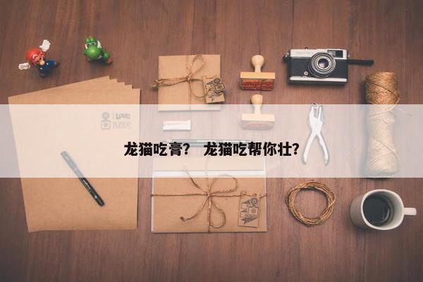 龙猫吃膏? 龙猫吃帮你壮?