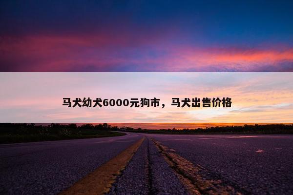 马犬幼犬6000元狗市,马犬出售价格