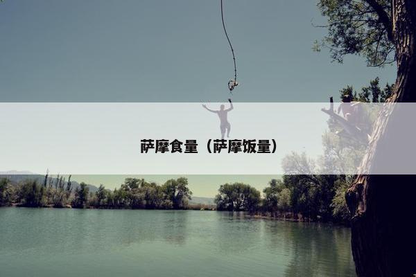 萨摩食量（萨摩饭量）