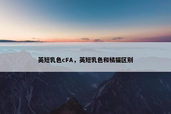英短乳色cFA,英短乳色和橘猫区别