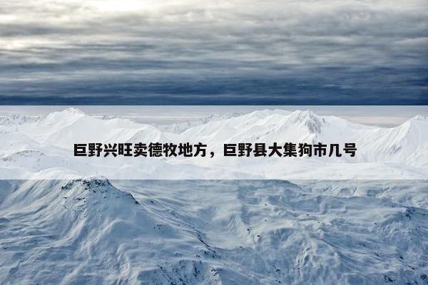 巨野兴旺卖德牧地方，巨野县大集狗市几号