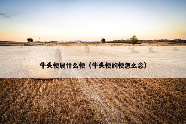 牛头 第2页
