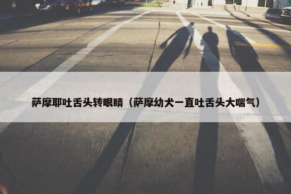 萨摩耶吐舌头转眼睛（萨摩幼犬一直吐舌头大喘气）
