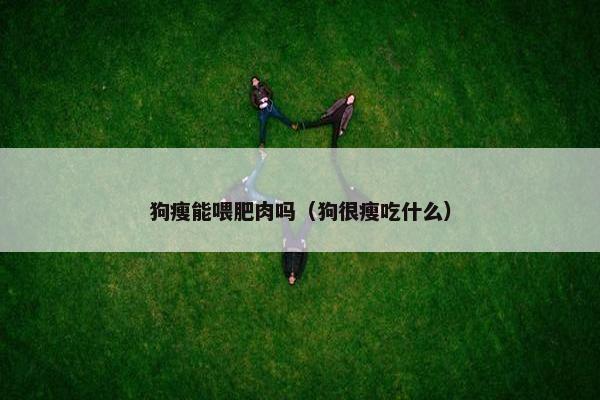 狗瘦能喂肥肉吗（狗很瘦吃什么）