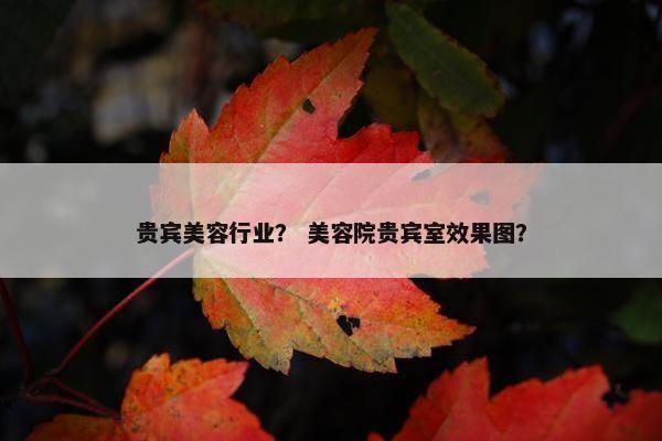 贵宾美容行业？ 美容院贵宾室效果图？