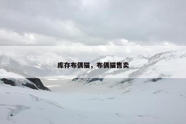 库存布偶猫，布偶猫售卖