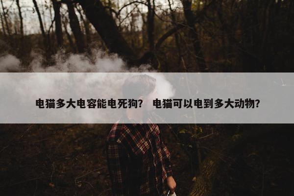 狗能 第3页