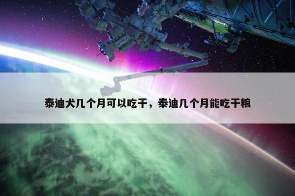 泰迪犬几个月可以吃干，泰迪几个月能吃干粮