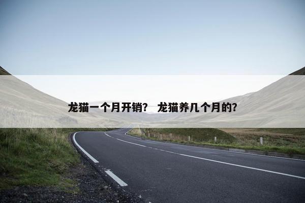龙猫一个月开销? 龙猫养几个月的?