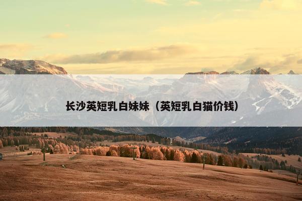 长沙英短乳白妹妹(英短乳白猫价钱)