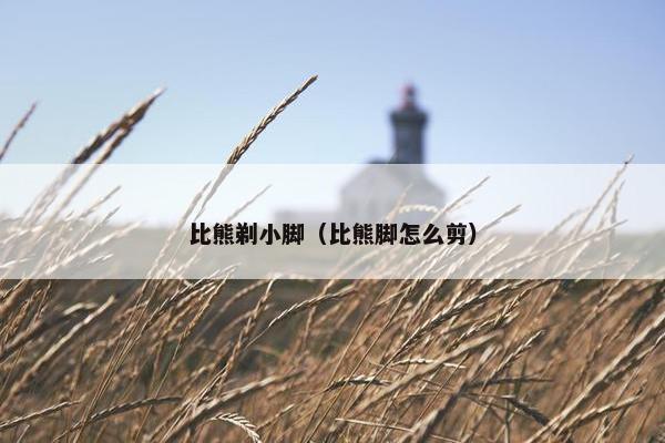 比熊剃小脚（比熊脚怎么剪）