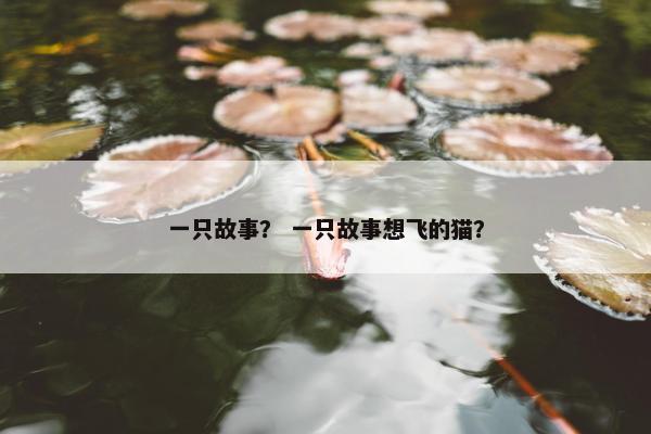小羊