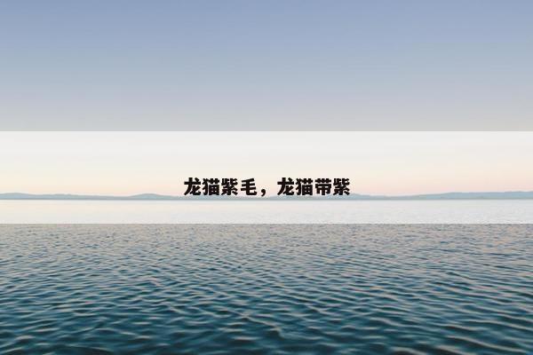龙猫紫毛,龙猫带紫