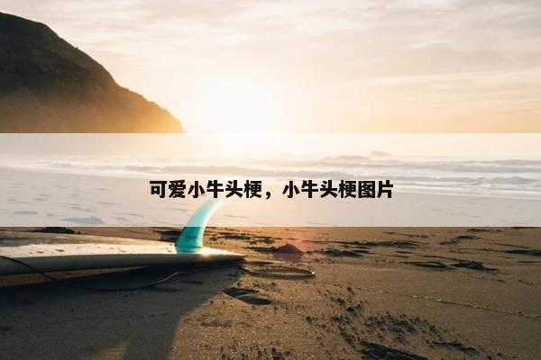 可爱小牛头梗,小牛头梗图片