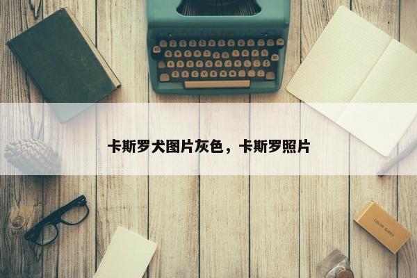 卡斯罗犬图片灰色，卡斯罗照片