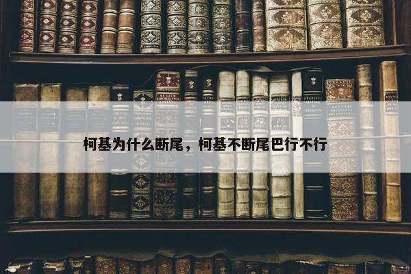 柯基为什么断尾，柯基不断尾巴行不行