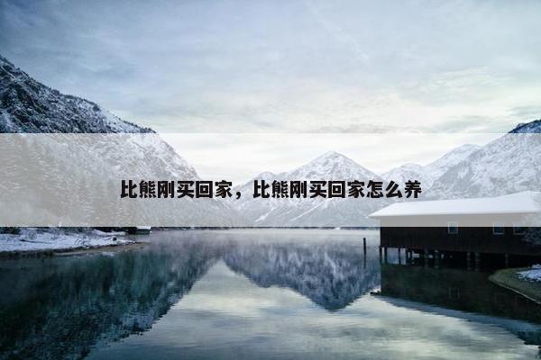 比熊刚买回家,比熊刚买回家怎么养