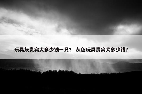 玩具灰贵宾犬多少钱一只? 灰色玩具贵宾犬多少钱?