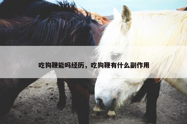 吃狗鞭能吗经历，吃狗鞭有什么副作用