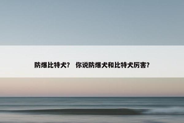 防爆比特犬? 你说防爆犬和比特犬厉害?