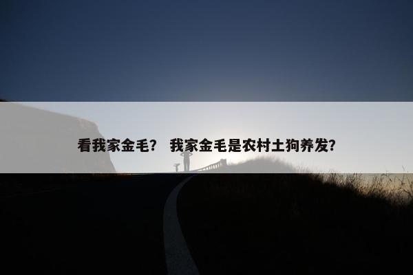 看我家金毛？ 我家金毛是农村土狗养发？