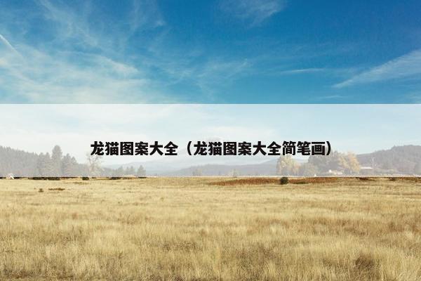 龙猫图案大全(龙猫图案大全简笔画)