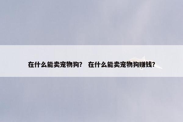 在什么能卖宠物狗？ 在什么能卖宠物狗赚钱？