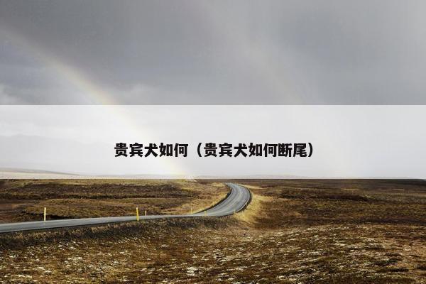 贵宾犬如何(贵宾犬如何断尾)