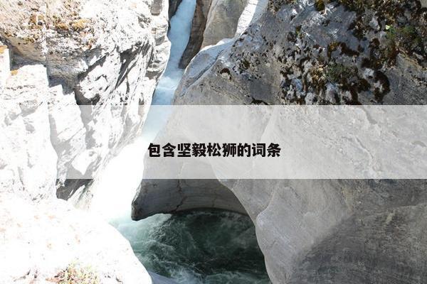 包含坚毅松狮的词条
