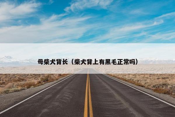 母柴犬背长（柴犬背上有黑毛正常吗）