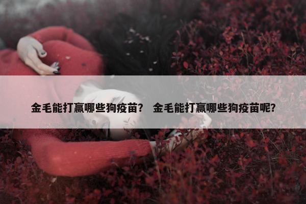 金毛能打赢哪些狗疫苗？ 金毛能打赢哪些狗疫苗呢？
