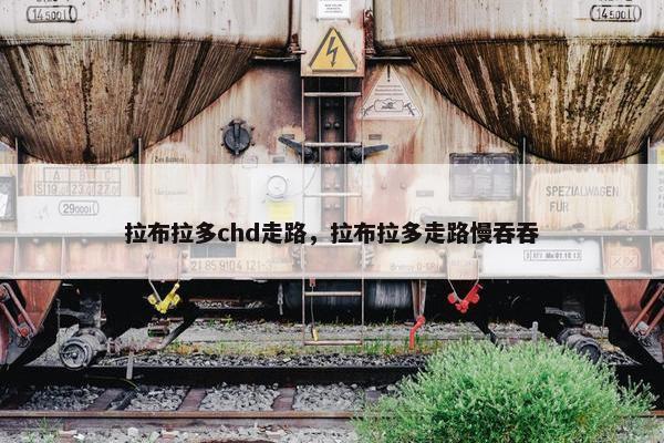 拉布拉多chd走路，拉布拉多走路慢吞吞
