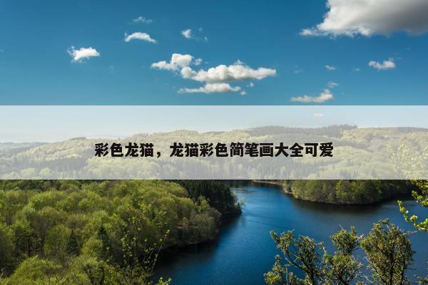 彩色龙猫,龙猫彩色简笔画大全可爱