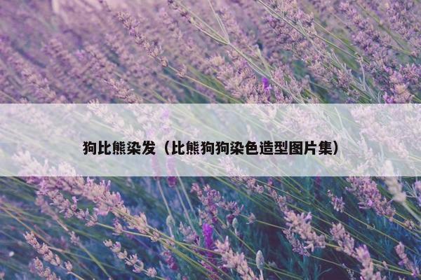 狗比熊染发（比熊狗狗染色造型图片集）