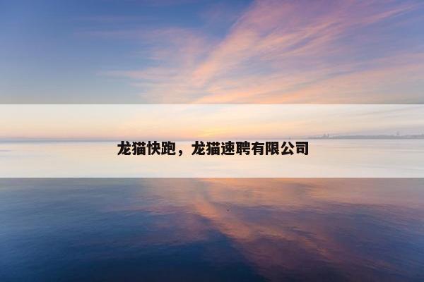 龙猫
