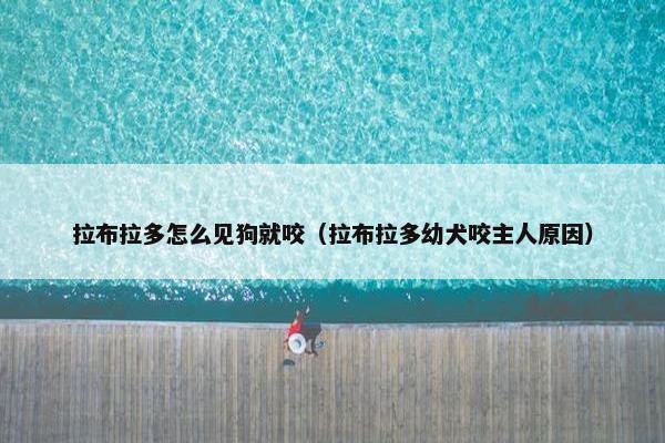 拉布拉多怎么见狗就咬（拉布拉多幼犬咬主人原因）