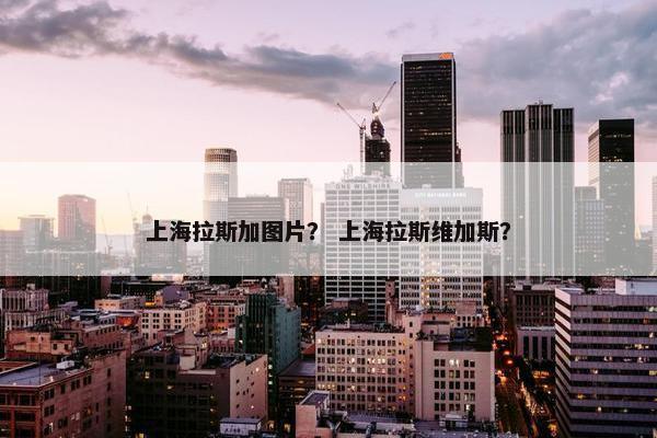 上海拉斯加图片？ 上海拉斯维加斯？