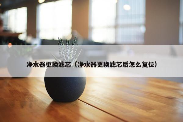 净水器更换滤芯(净水器更换滤芯后怎么复位)