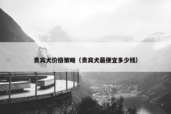 贵宾犬价格策略(贵宾犬最便宜多少钱)