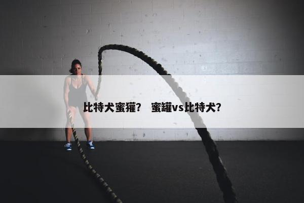 比特犬蜜獾? 蜜罐vs比特犬?