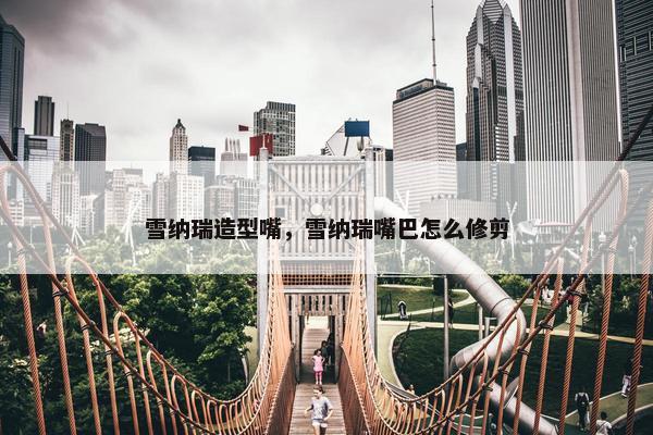 雪纳瑞造型嘴，雪纳瑞嘴巴怎么修剪