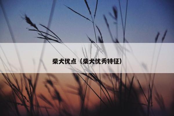 柴犬优点（柴犬优秀特征）