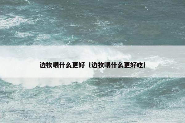 边牧喂什么更好(边牧喂什么更好吃)