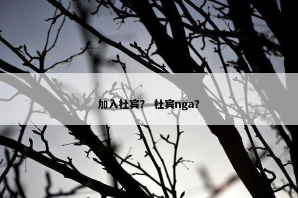加入杜宾？ 杜宾nga？