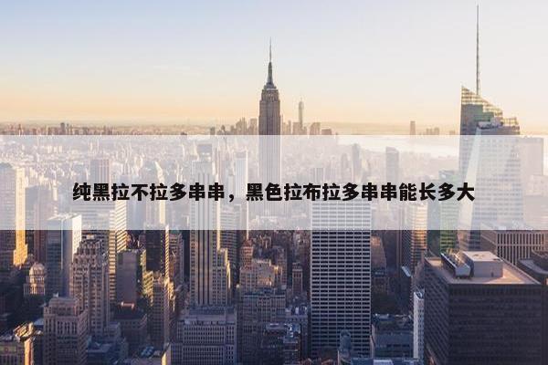 纯黑拉不拉多串串,黑色拉布拉多串串能长多大