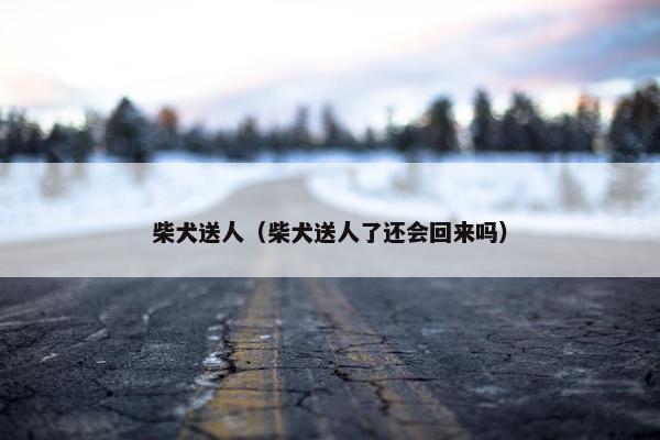 柴犬送人（柴犬送人了还会回来吗）