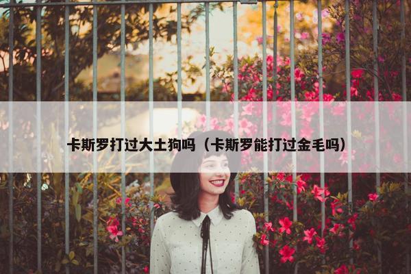 卡斯罗打过大土狗吗（卡斯罗能打过金毛吗）