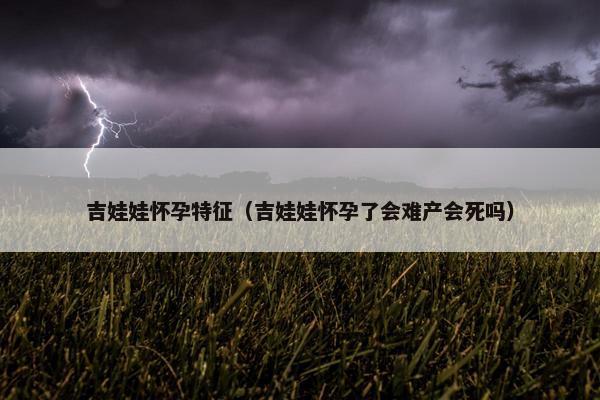 吉娃娃怀孕特征(吉娃娃怀孕了会难产会死吗)