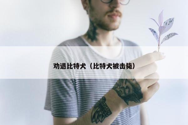 劝退比特犬（比特犬被击毙）